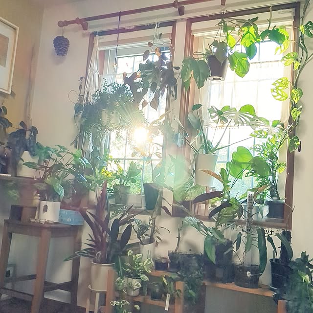 hiroさんの実例写真