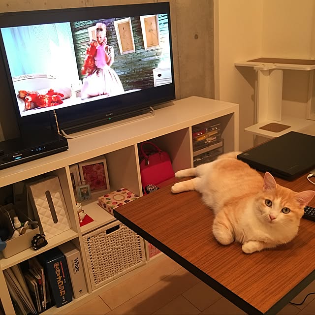korinkorinさんの実例写真