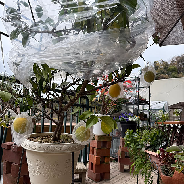 Aqettyさんの部屋