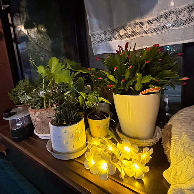 tututu0204さんの部屋