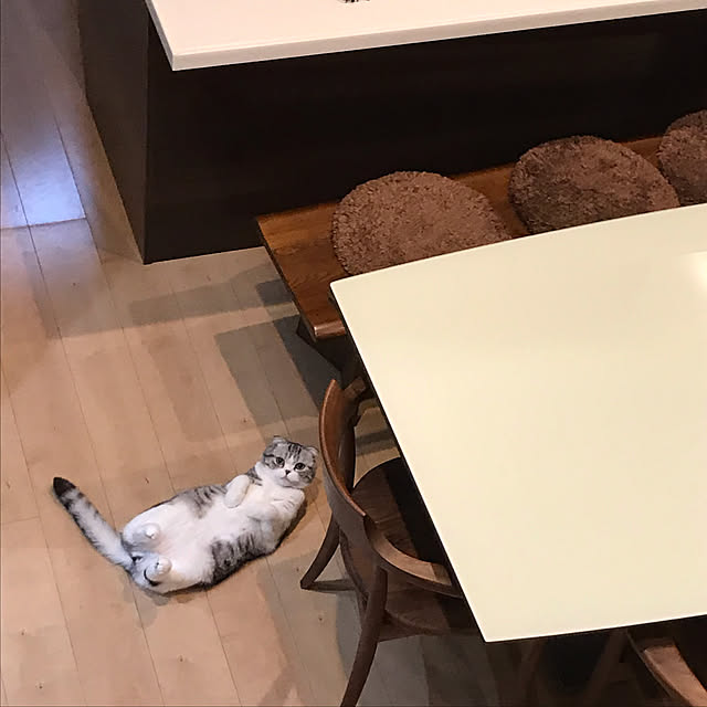 Dahliaさんの実例写真