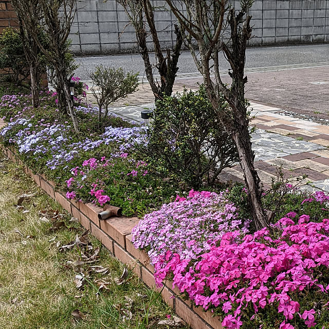 kouheiyuto24623takaさんの実例写真