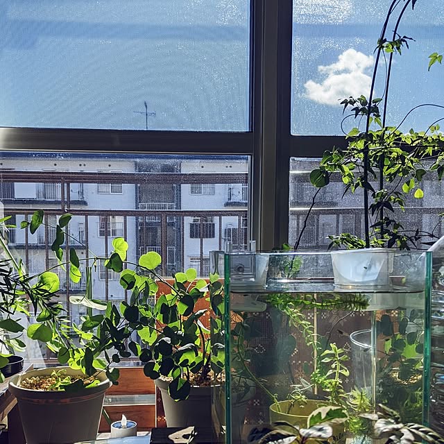 mi-saさんの部屋