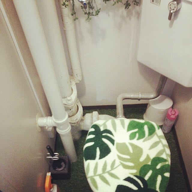 yuuukaさんの実例写真