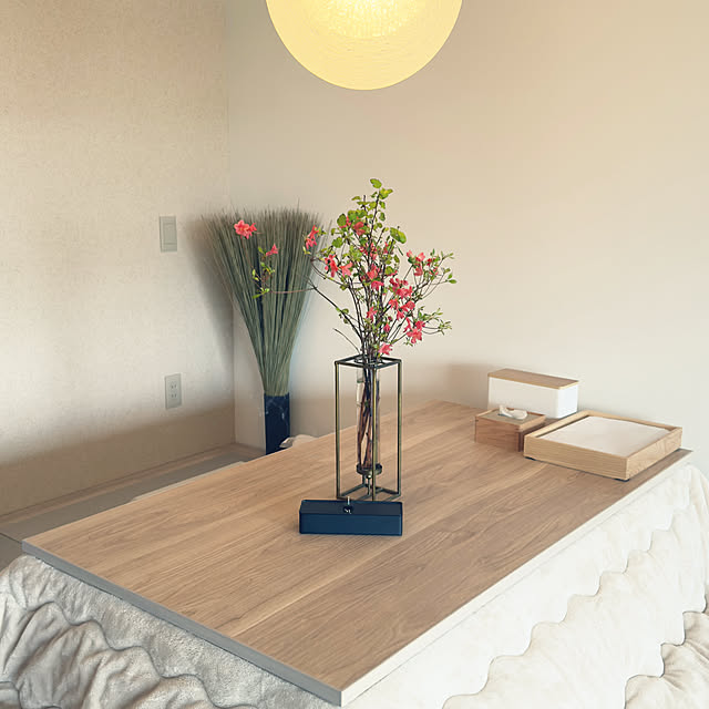 piroaiさんの実例写真