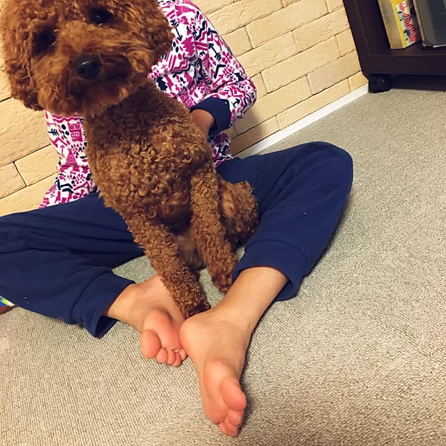 chiiiiiさんの実例写真