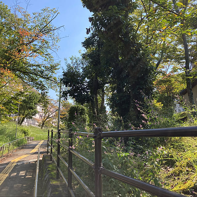 mamboさんの実例写真