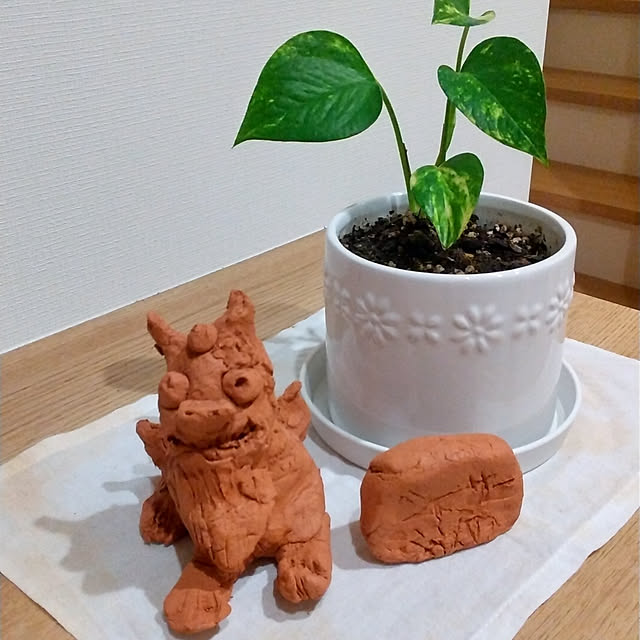 kuuさんの実例写真