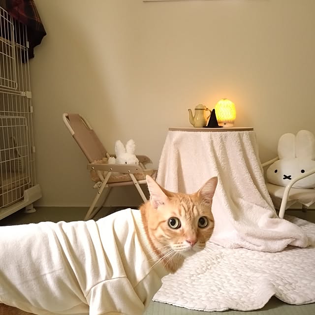mayutan.さんの部屋