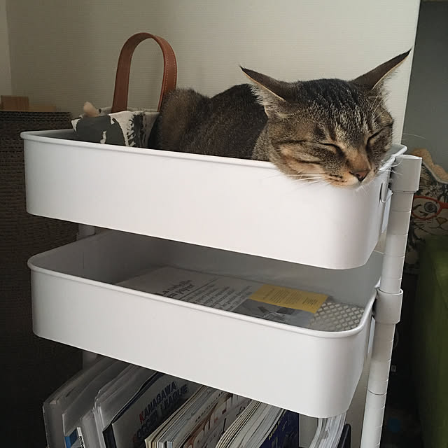 mikomaruさんの実例写真
