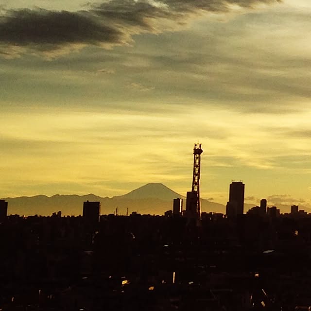 CURL38さんの実例写真