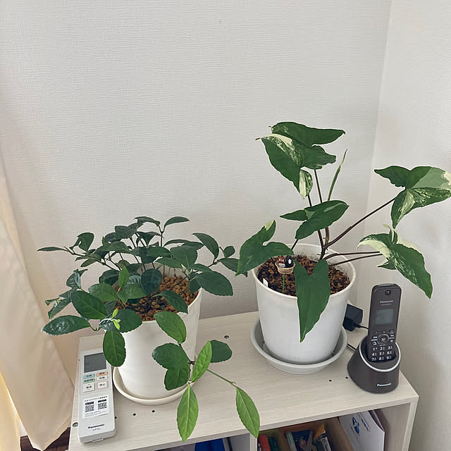 mamaさんの部屋