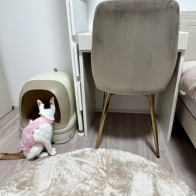mocaさんの部屋