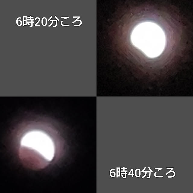 yumirinさんの実例写真