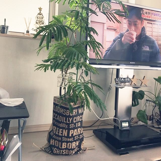 Rikopinさんの実例写真