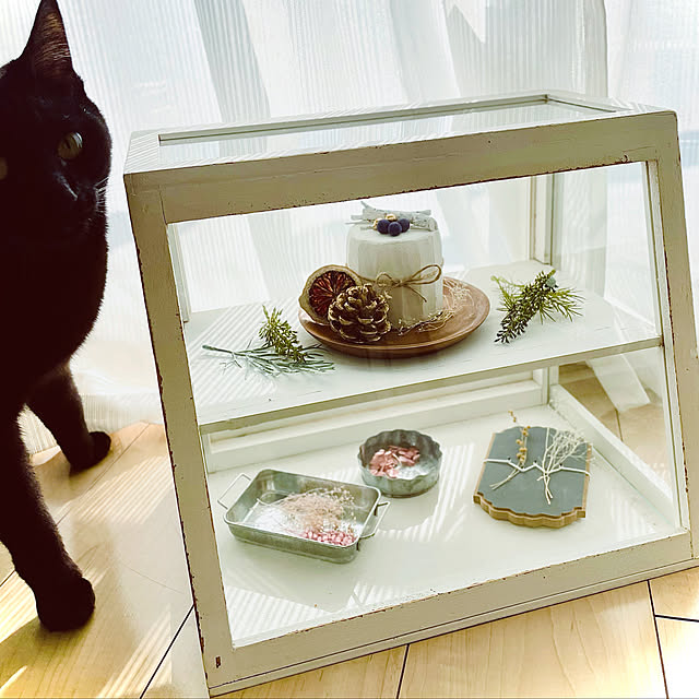ガラスケース/ねこのいる暮らし/クレイケーキ/ダイソー/雑貨...などのインテリア実例 - 2022-12-30 21:35:38