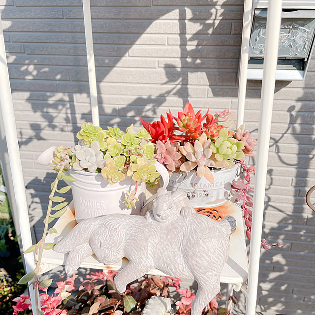 akiko-ovさんの部屋