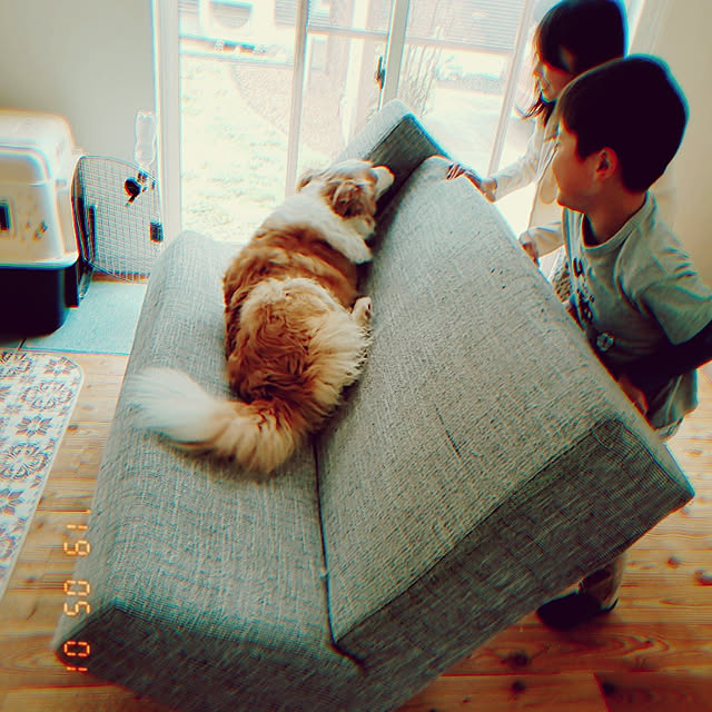 ranmamaさんの実例写真