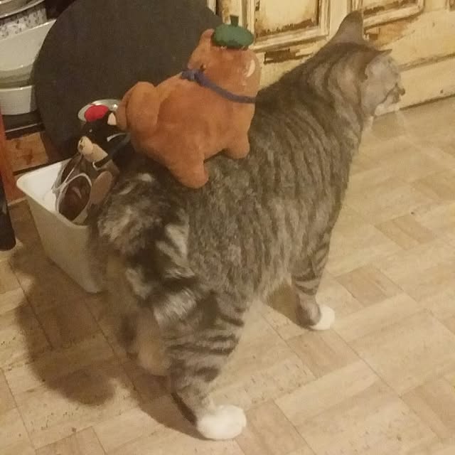 annさんの実例写真