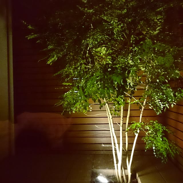 shiokoさんの実例写真