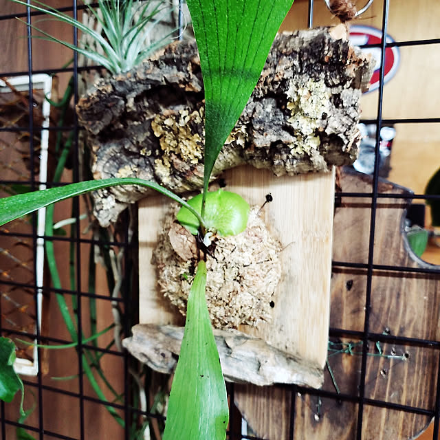 Daiさんの実例写真