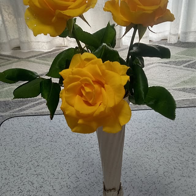Yoshietanka3492さんの実例写真