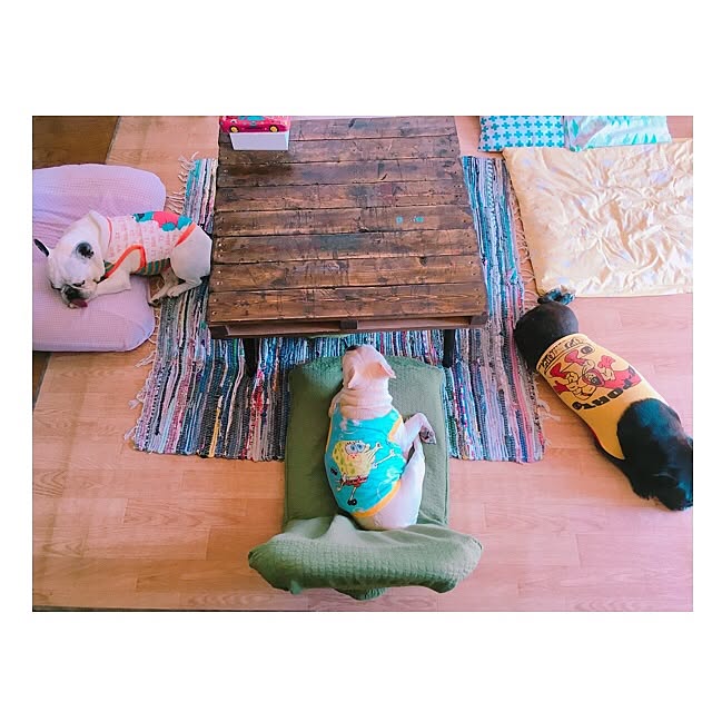 38coreさんの実例写真