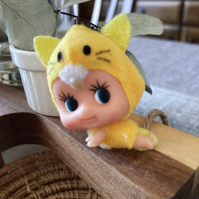 nepenthesさんの部屋