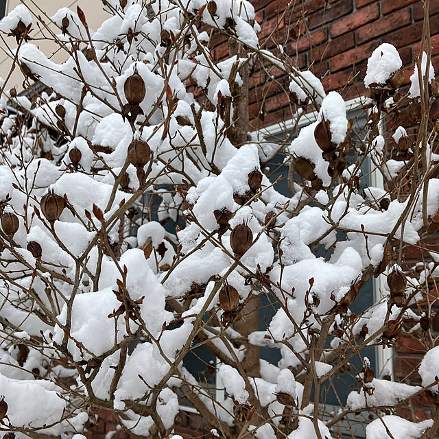 ikubooさんの部屋