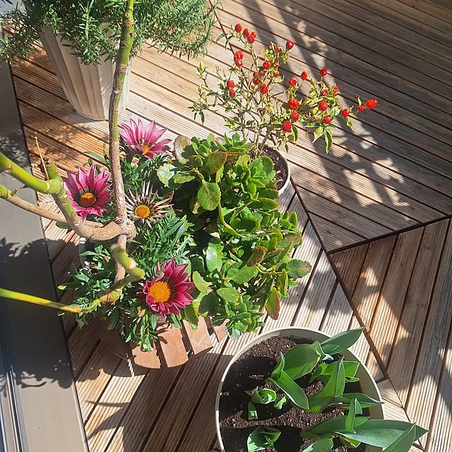 hakata-baさんの実例写真