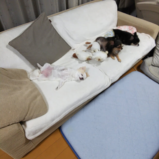 yuuyuu619さんの実例写真