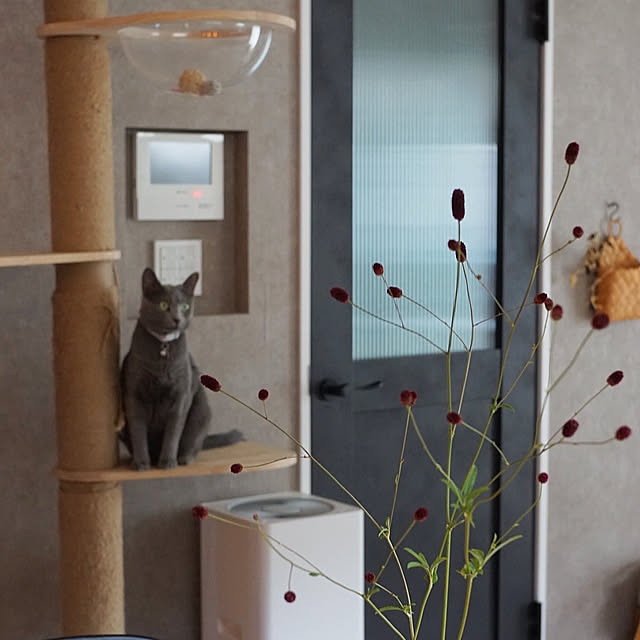 riri1989さんの部屋