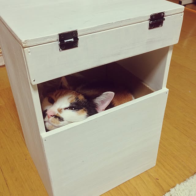Kinanさんの実例写真