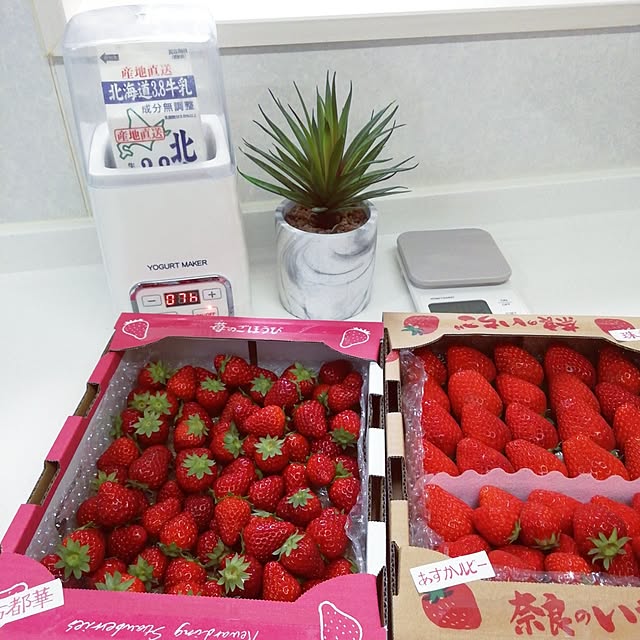 G.Mさんの実例写真