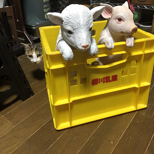 vivienne.coco-keiさんの実例写真