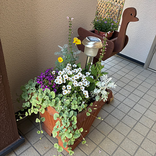 mamimamiさんの実例写真
