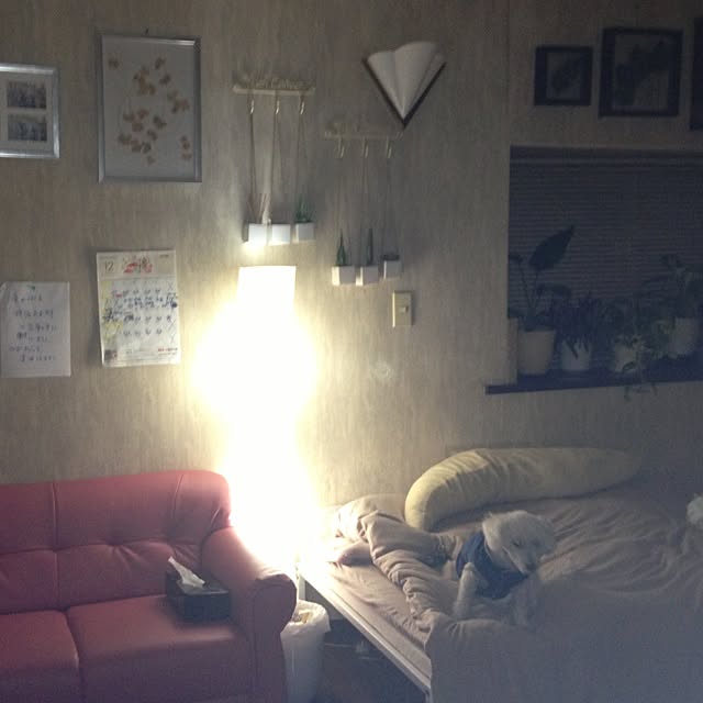 実例写真