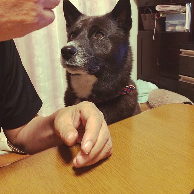 michaさんの実例写真