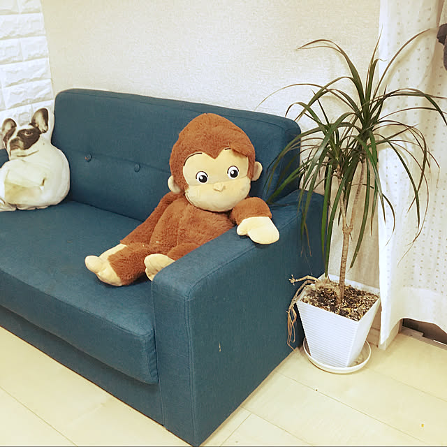 caokoさんの実例写真