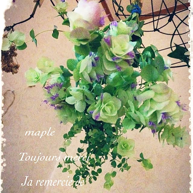 mapleさんの実例写真