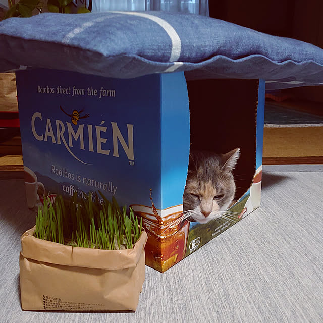 fukuさんの実例写真