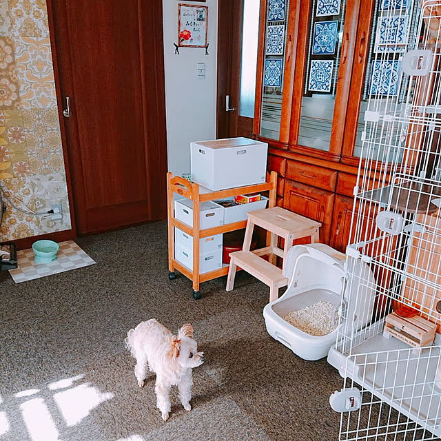 kikiさんの実例写真