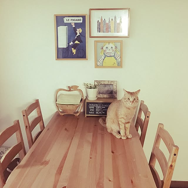 anzyさんの実例写真