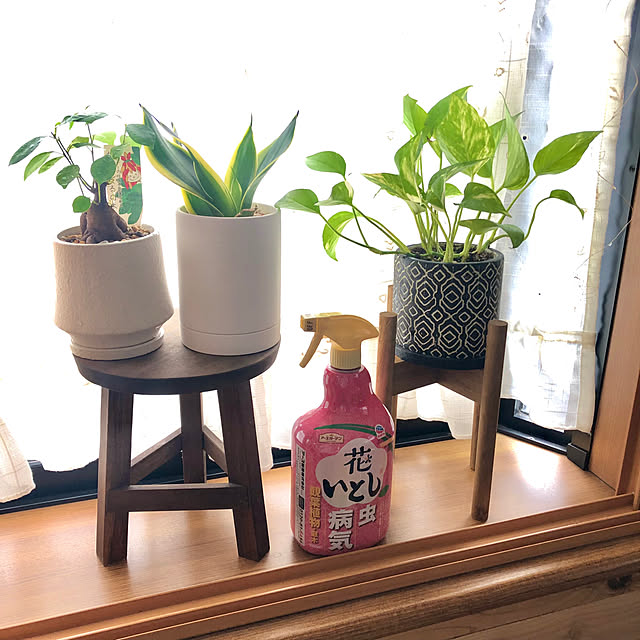 CoffeeHouseさんの実例写真