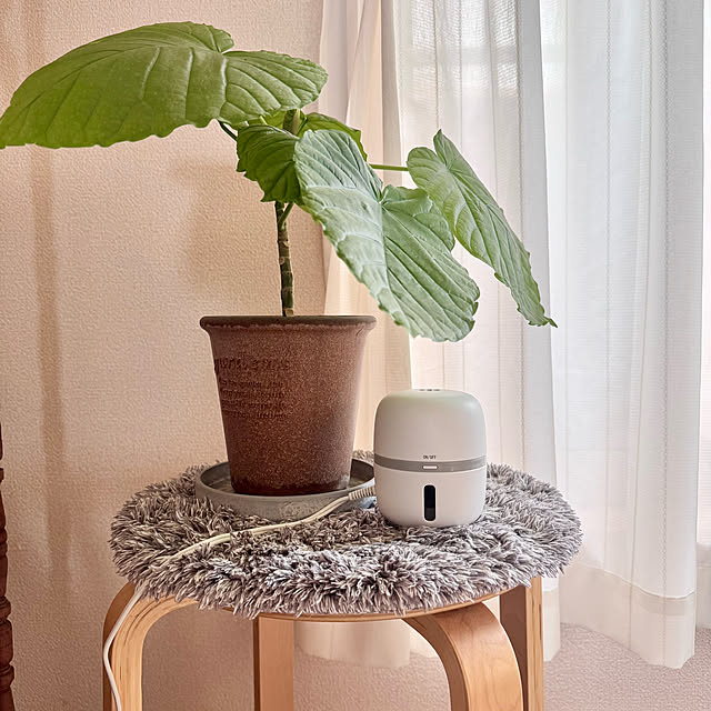 masumiさんのお部屋の写真