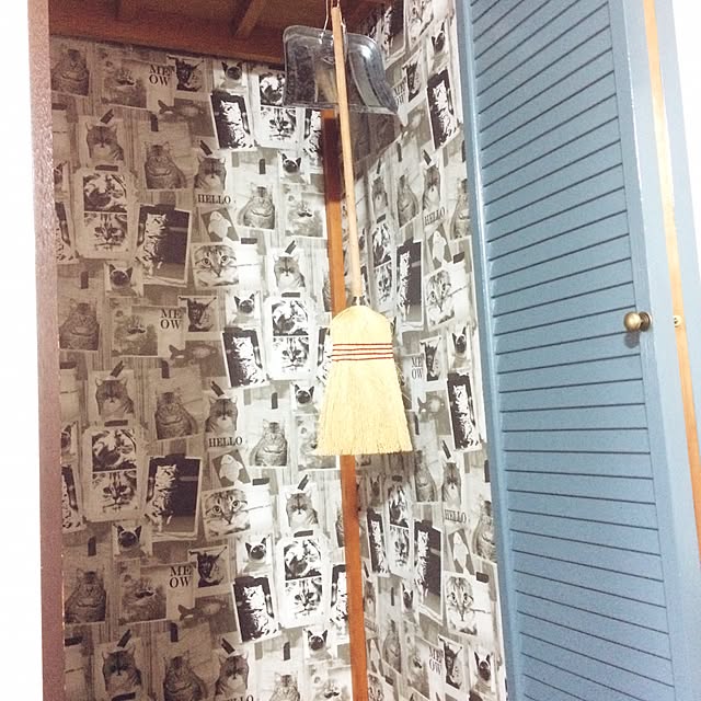 10ri5100さんの実例写真