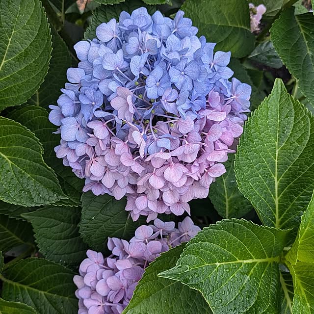 monnさんの部屋