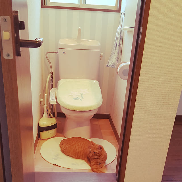 mi_iさんの実例写真