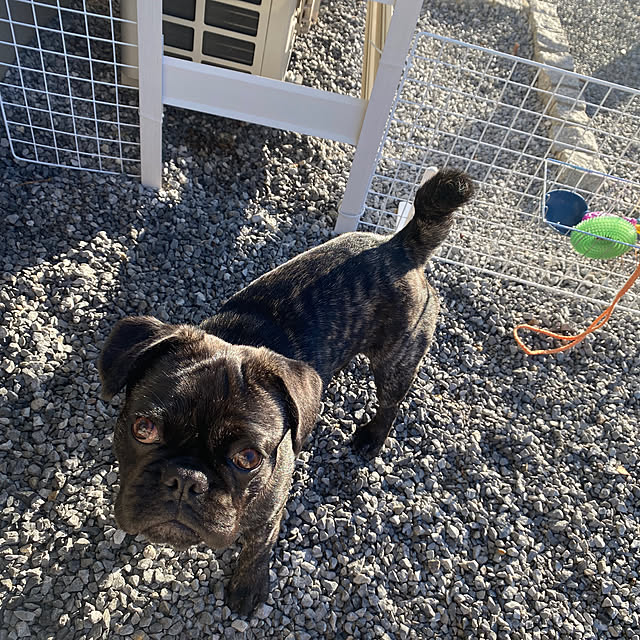 smileさんの実例写真