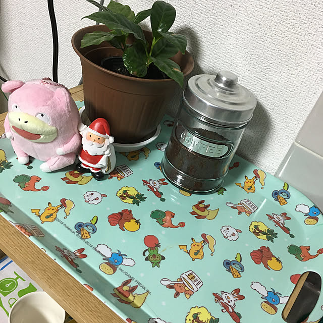 観葉植物/ダイソー/3COINS/キッチンのインテリア実例 - 2019-12-10 15:12:32